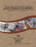 Class III (Intensive) Cultural Resource Survey of 458 Acres of Federal and Private Land for Proposed Construction and Operations of a Sediment Removal Pond and Storage Area Below Ashurst-Hayden Diversion Dam, Florence, Pinal County, Arizona:...