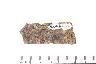     015-159.1a.JPG - Fragment, from site 12WB120
        
