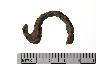     001-024.1a.JPG - Iron fish hook, from site 12PO16
        
