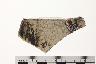     002-037.1a.JPG - Historic body sherd, decorated, Historic crockery, from site 12CL1
        
