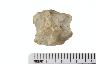     001-031.1a.JPG - Projectile point
        
