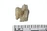     001-030.1a.JPG - Projectile point
        
