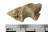     001-057.1a.JPG - Projectile point, from site 12WE9
        
