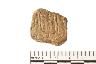     001-072.1a.JPG - Prehistoric body sherd, decorated, from site 12SP286
        
