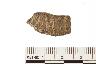     002-017.1a.JPG - Prehistoric body sherd, decorated, from site 12SP289
        
