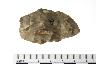     002-055.1a.JPG - Projectile Point, from site 12T73
        
