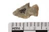     003-020.1a.JPG - Projectile Point
        
