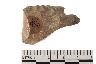     001-010.1a.JPG - Projectile point, from site 12MO133
        

