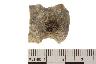     001-018.1a.JPG - Projectile point, from site 12MO133
        
