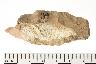     001-019.1a.JPG - Projectile point, from site 12MO133
        
