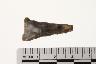     001-006.1a.JPG - Projectile point, from site 12SP305
        
