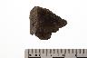     001-048.1a.JPG - Prehistoric rim sherd, undecorated, Shell tempered, from site 12SP284
        
