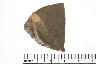     002-145.1a.JPG - Projectile point, from site 12CR1
        
