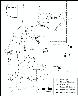     Perry Mesa 2007 work areas.jpg - Plan Map of Perry Mesa and Sites where 2007 Research Took Place
        
