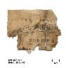     hpbuf17558.jpg 
        
