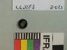     ll3183a.jpg 
        

