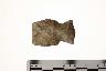     001-034.1a.JPG - Projectile point, from site 12WB10
        
