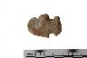    001-059.1a.JPG - Projectile point, from site 12WB11
        

