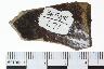     001-154.1a.JPG - Historic body sherd, undecorated, from site 36FA91
        
