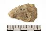     002-035.1a.JPG - Projectile point, from site 12CR27
        
