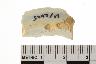     006-049.1a.JPG - Historic body sherd, decorated, from site 12OR93
        
