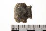     001-035.1a.JPG - Projectile point, from site 12CR25
        
