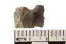     005-033.1a.JPG - Projectile point, from site 12OR327
        
