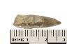     005-044.1a.JPG - Projectile point, from site 12OR325
        
