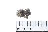     030-021.1a.JPG - BURNED MATERIAL, "DEBRIS"; THIS IS A VERY DARK, POROUS, AND REFLECTIVE OBJECT THAT LOOKS LIKE PUMICE OR BONE BUT IS NEITHER, from site 1WX10
        
