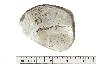     158-098.1a.JPG - PENDANT, BONE AND SHELL, from site 1WX1
        

