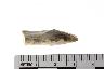     089-093.1a.JPG - Projectile point, from site 9CY62
        
