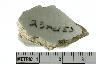     003-006.1a.JPG - Historic handle sherd, undecorated, from site 23MC150
        

