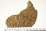     007-124.1a.JPG - Fragment, "Historic", possible decorated hinge, from site 23MC151
        
