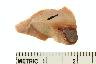     001-029.1a.JPG - Biface, Projectile points, biface (9) 53g, 1, from site 23PO309
        

