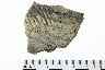     001-107.1a.JPG - Prehistoric body sherd, decorated, from site 23CL223
        
