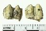     004-041.1a.JPG - Tooth, Unwkbone, broken toothrow," "810 A, from site 23JA143
        
