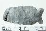     003-008.1a.JPG - Projectile point, Proj point, ppk, from site 23JA143
        
