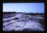     a13-approach-to-shelter.tif - Ross Moffett Survey of Cape Cod National Seashore, Photos for Report
        
