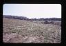 Ross Moffett Archaeological Overview, Cape Cod National Seashore, Photos with...