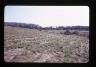     a14-caco_cape_coons_nauset.tif - Ross Moffett Archaeological Overview, Cape Cod National Seashore, Photos with Report
        
