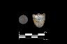     Bird-Houston Site Brass Button and Broach Pin Recovered from Locus B.tif - Bird-Houston Site [7NC-F-138], Locus B: Brass Button and Broach Pin
        Jul 3, 2017
