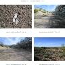     Reach 1 Contact Sheet5.jpg - Photos of project area and sites overviews of Reach 1
        Jul 11, 2017
