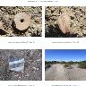     Reach 2 Contact Sheet2.jpg - Photos of project area and sites overviews of Reach 2
        Jul 11, 2017

