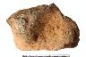     001-001.1a.JPG - Metate fragment, Weight converted to grams, from site 9EB91
        
