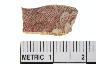     001-158.1a.JPG - Historic rim sherd, decorated, from site 9MF180
        
