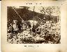 Coosa River Photographs 1880, Archival Photograph, 0033-0004