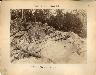 Coosa River Photographs 1880, Archival Photograph, 0033-0003