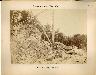     0033-0008.tiff - Coosa River Photograph Number 9, Gibson’sQuarry, N. 30°; May 1880. 
        
