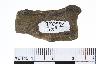     001-044.1a.JPG - Prehistoric pipe fragment, decorated, from site 9EB599
        

