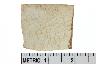     001-070.1a.JPG - Historic rim sherd, undecorated, from site 9EB584
        
